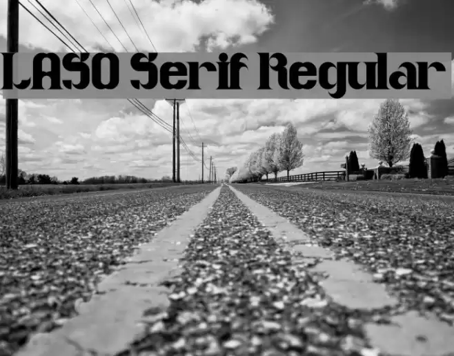 LASO Serif Regular Font examples