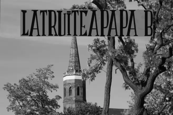 LATRUITEAPAPA B Font examples