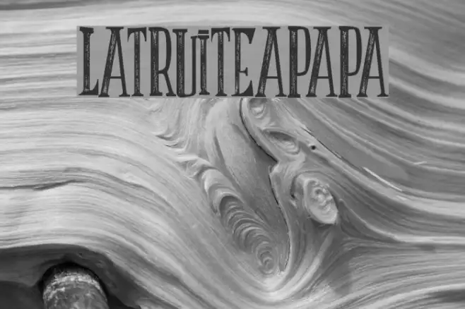 LATRUITEAPAPA Example 1