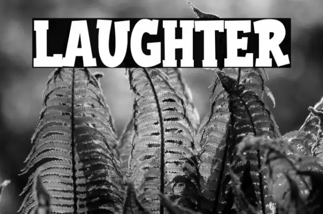 LAUGHTER フォント examples