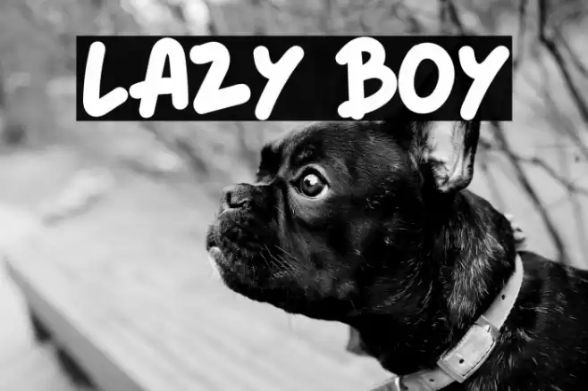 LAZY BOY Font examples