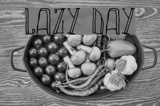 LAZY DAY Example 3