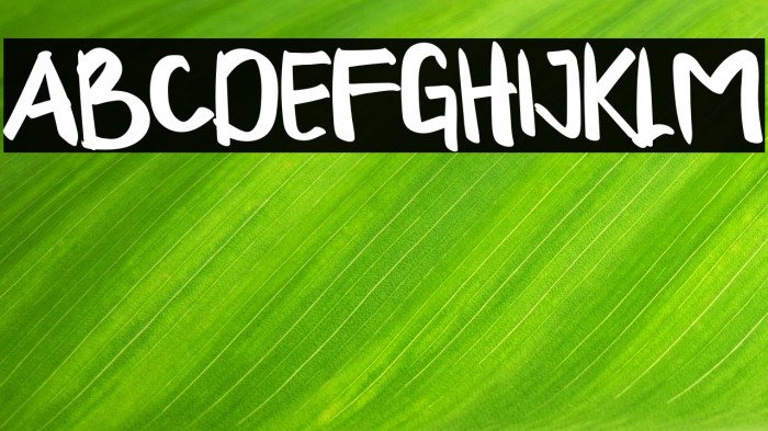 LAZY MACOLLA Example 3