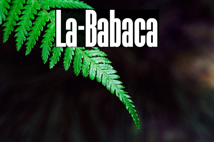 La-Babaca Font examples