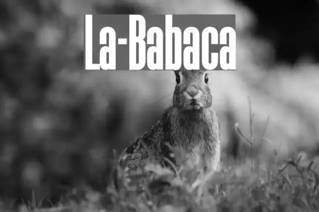 La-Babaca Polices examples