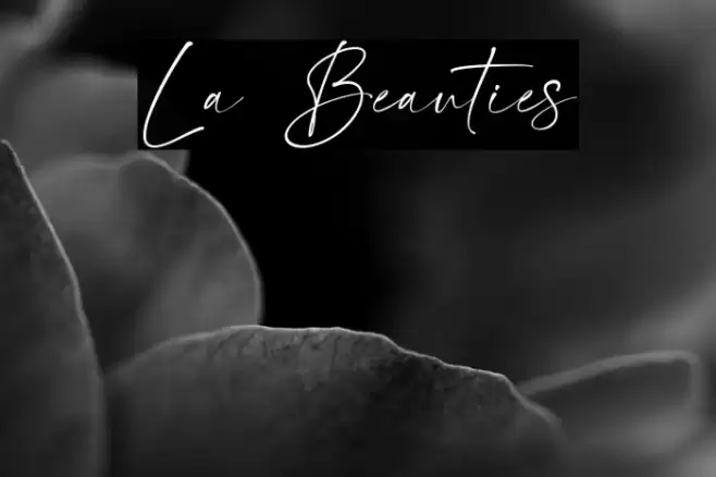 La Beauties Font examples