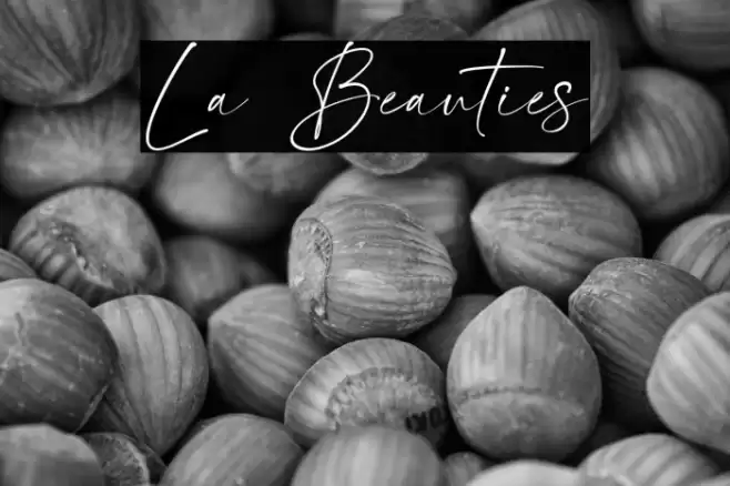 La Beauties Font examples