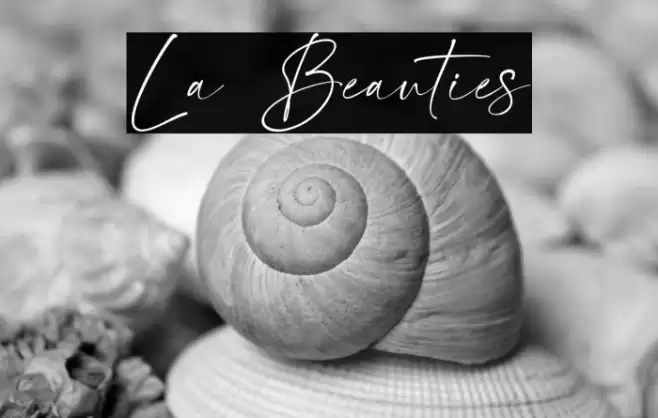 La Beauties Font examples