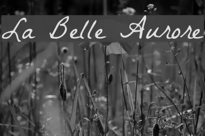 La Belle Aurore Fonte examples