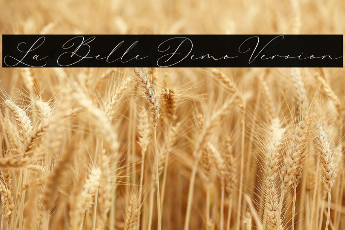 La Belle DemoVersion Example 3