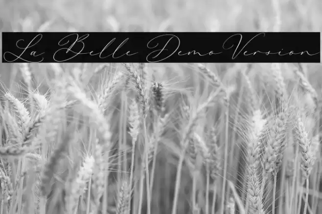 La Belle DemoVersion Font examples