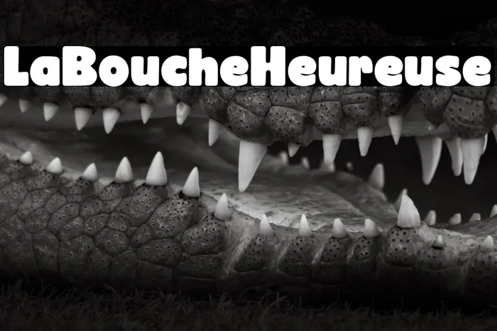 La Bouche Heureuse Example 3