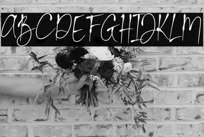 La Calston Font examples