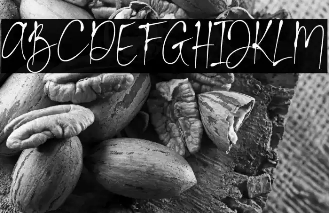 La Calston Font examples