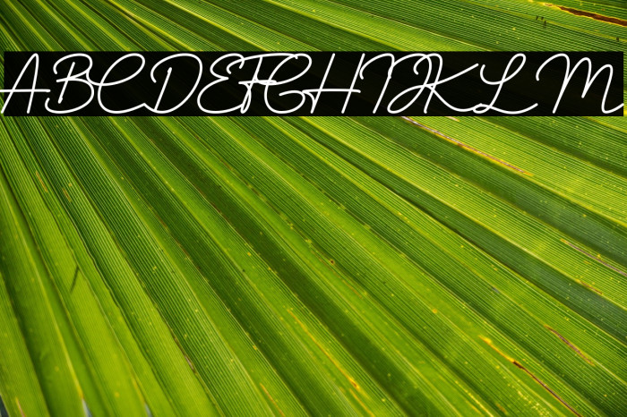 La Cavoritte Example 2