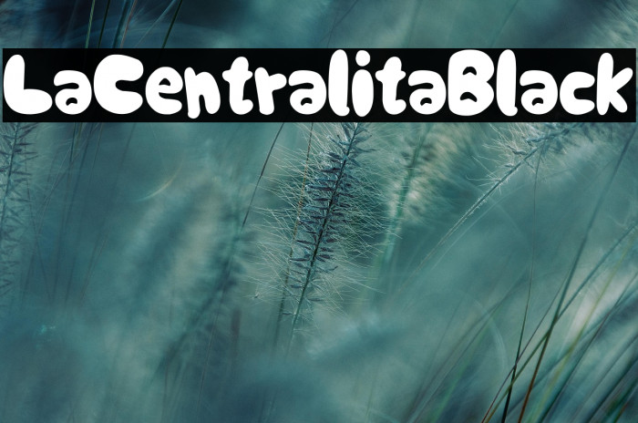 La Centralita Black Example 2