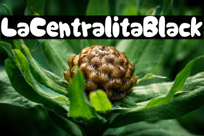 La Centralita Black Example 3