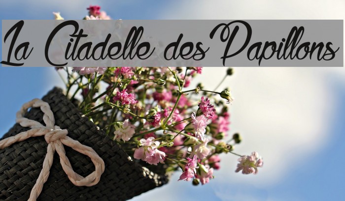 La Citadelle des Papillons Font examples