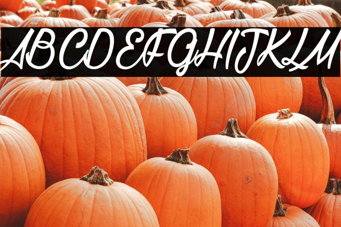 La Cithare_PersonalUseOnly Example 1