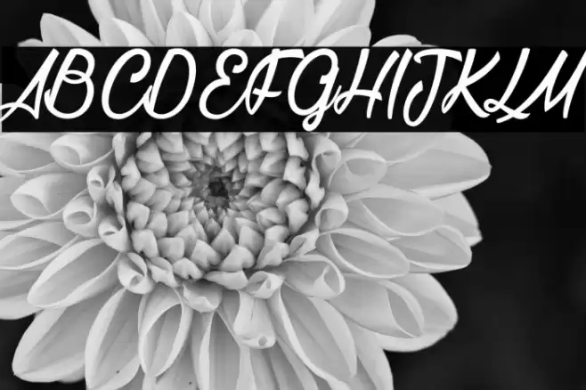 La Cithare_PersonalUseOnly Font examples