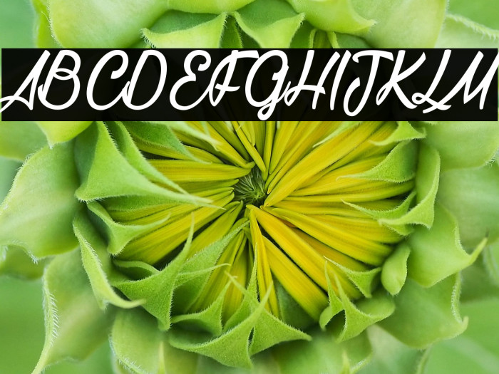 La Cithare_PersonalUseOnly Example 3