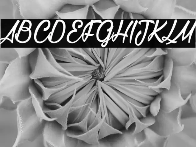 La Cithare_PersonalUseOnly Font examples