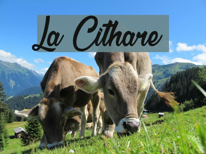 La Cithare Fuentes examples