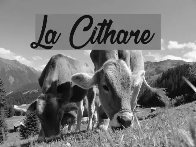 La Cithare Fuentes examples