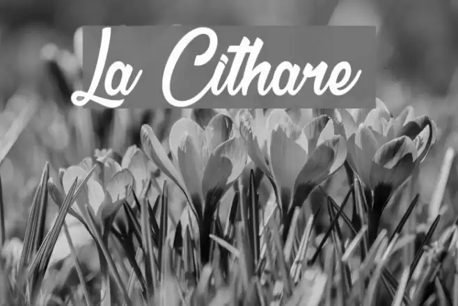La Cithare Fuentes examples
