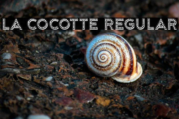 La Cocotte Regular Example 1