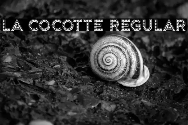 La Cocotte Regular Font examples