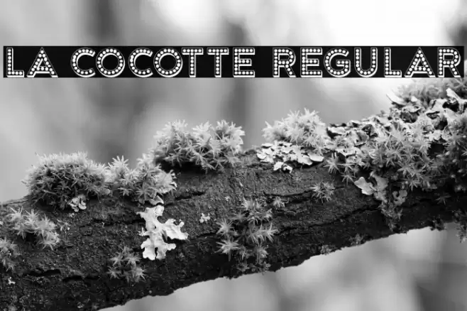 La Cocotte Regular Font examples
