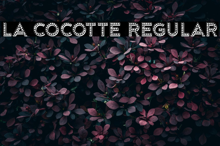 La Cocotte Regular Example 3