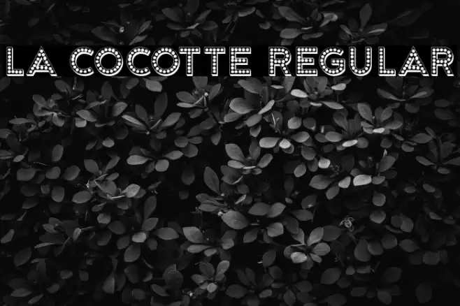 La Cocotte Regular Font examples
