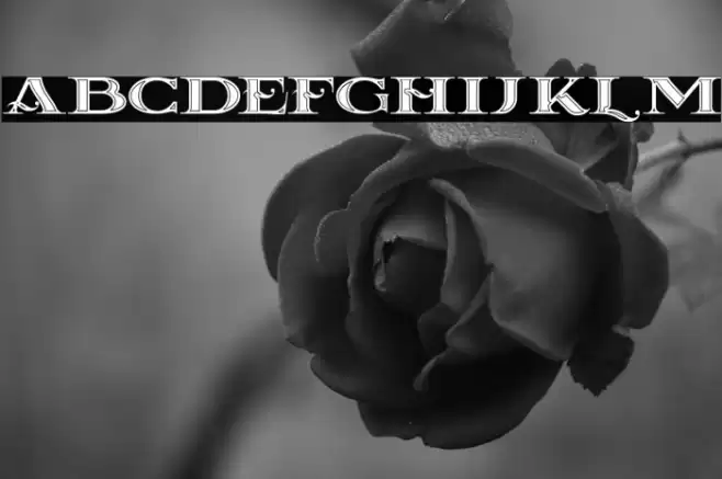 La Coste Inline Font examples