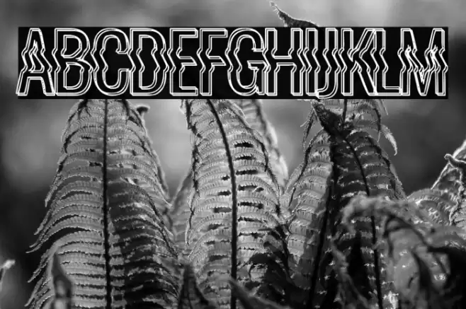 La Distorsionada Fonte examples