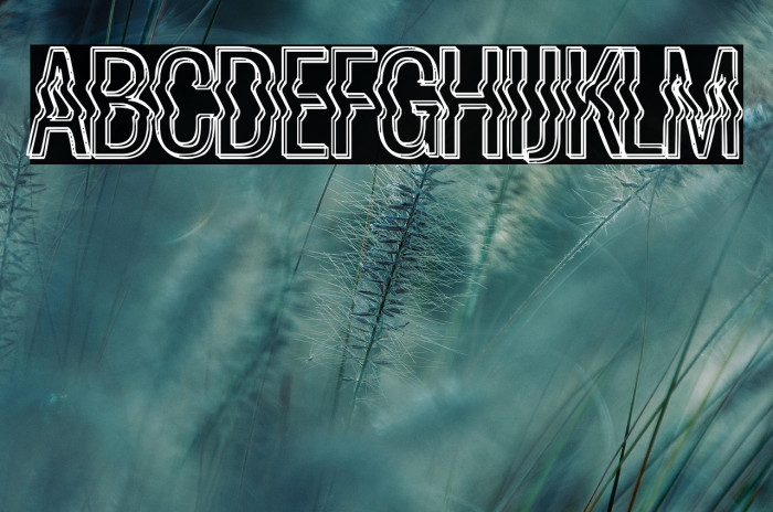 La Distorsionada Example 2