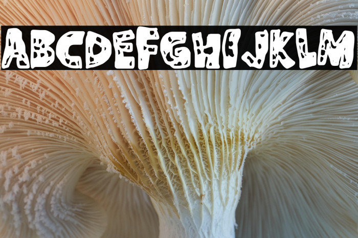 La Enfermedad Example 2