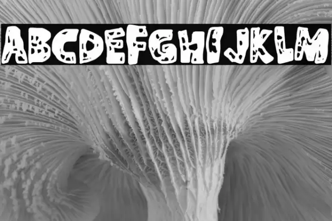 La Enfermedad Font examples