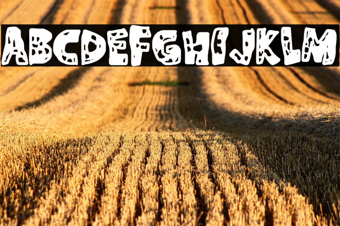 La Enfermedad Example 3