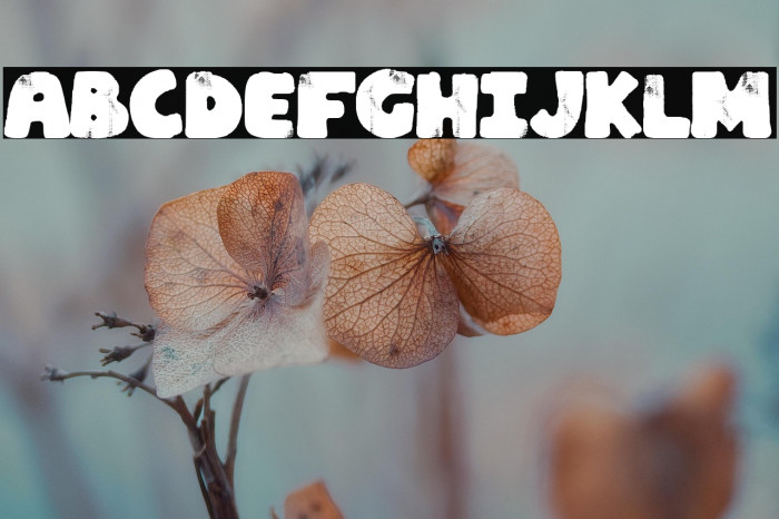 La Española Example 3