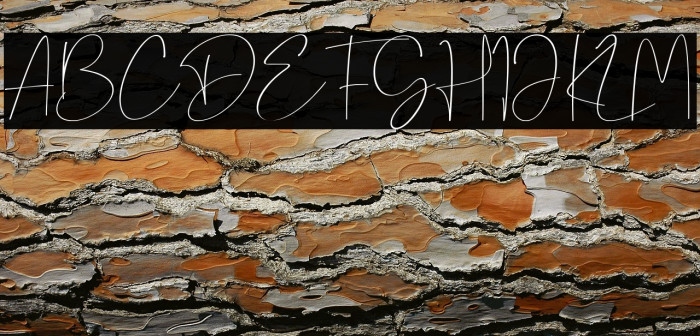 La Estroma Example 1