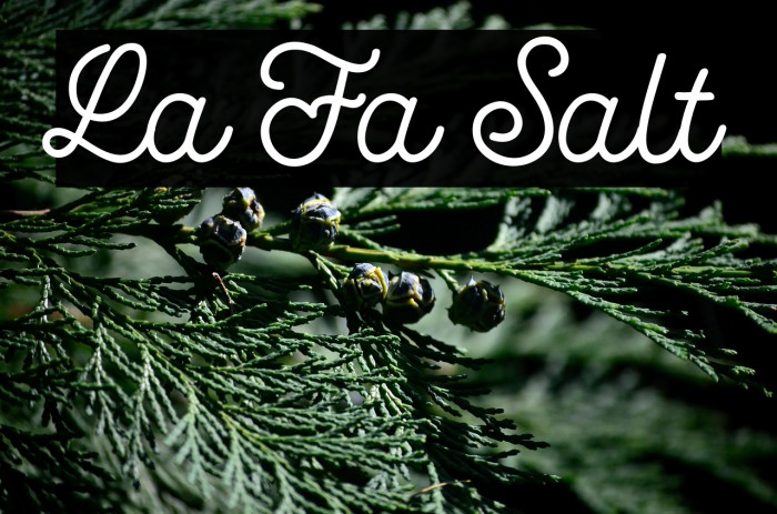 La Fa Salt Example 1