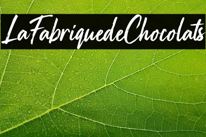 La Fabrique de Chocolats Example 2