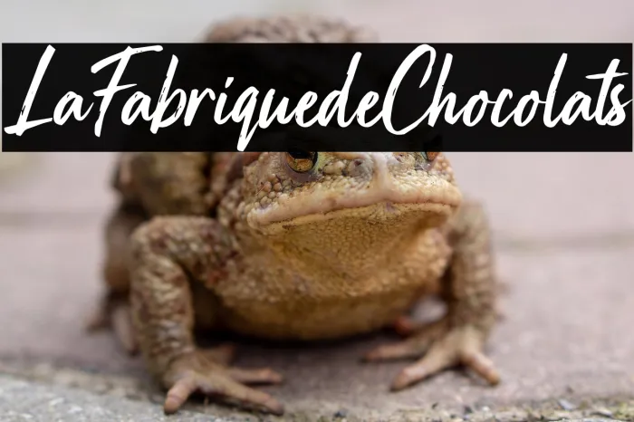 La Fabrique de Chocolats Example 3
