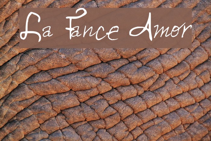 La Fance Amor Caratteri examples