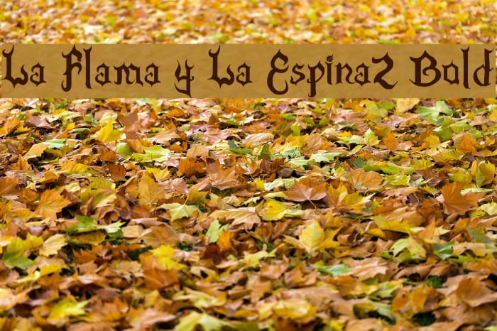La Flama y La Espina2 Bold Font examples