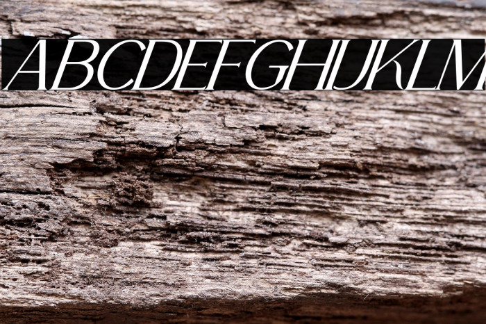 La Fleur Italic Example 3