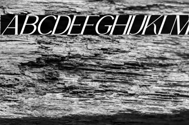 La Fleur Italic Fonte examples