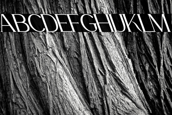 La Fleur Oblique Example 2